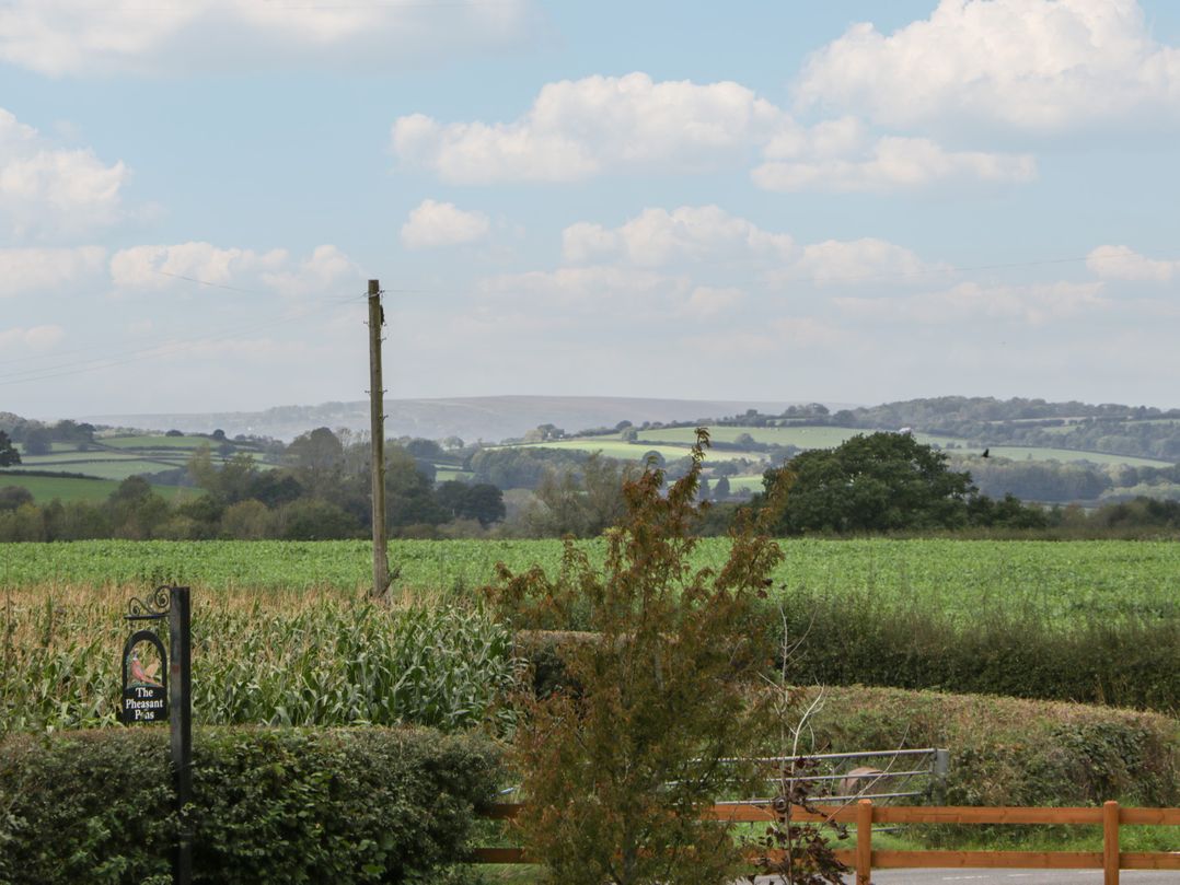 The Pheasant Two