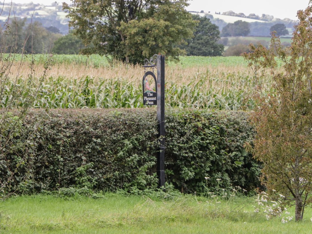 The Pheasant Two