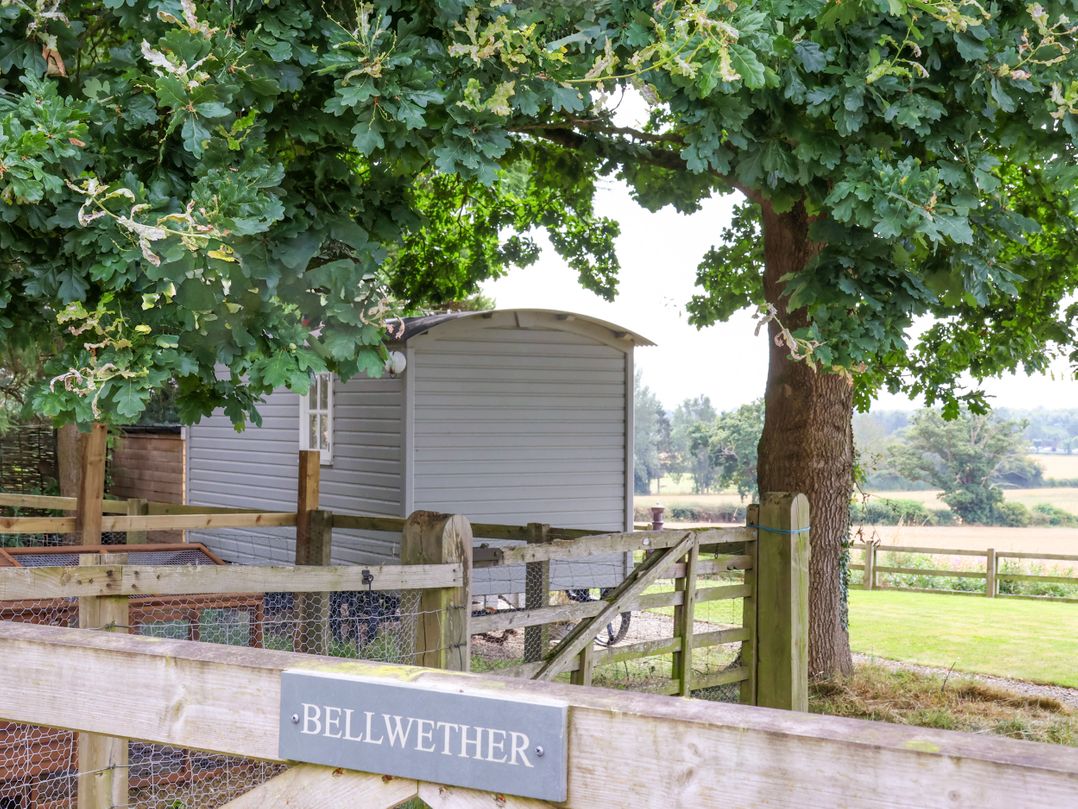 Bellwether