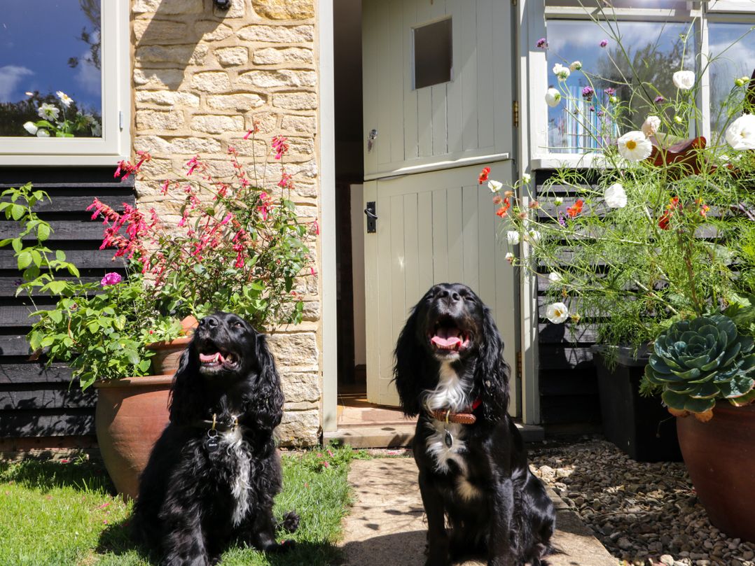 Henmarsh Cottage