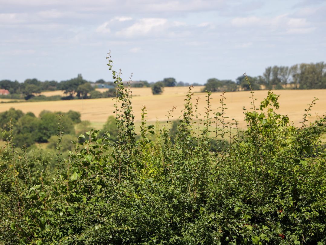 Henmarsh Cottage