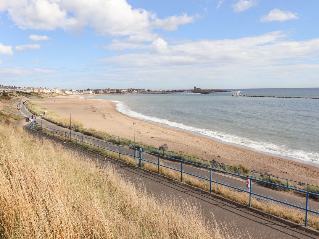 Beach Cove View