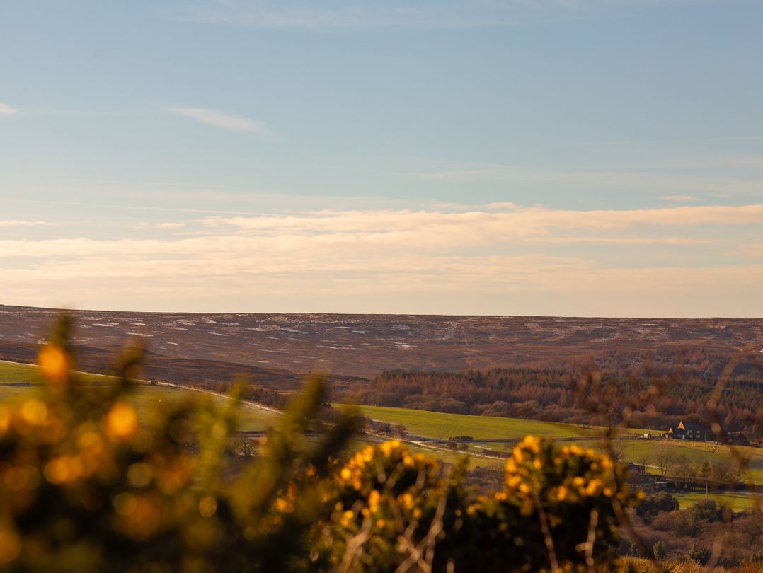 Moorsholm View