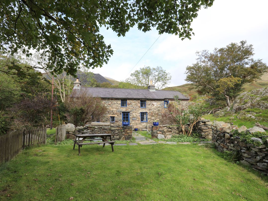 Llwyn Bedw
