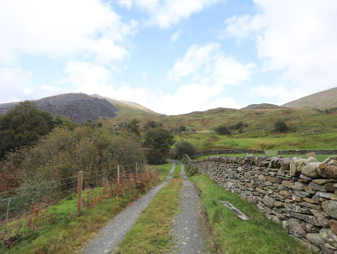 Llwyn Bedw