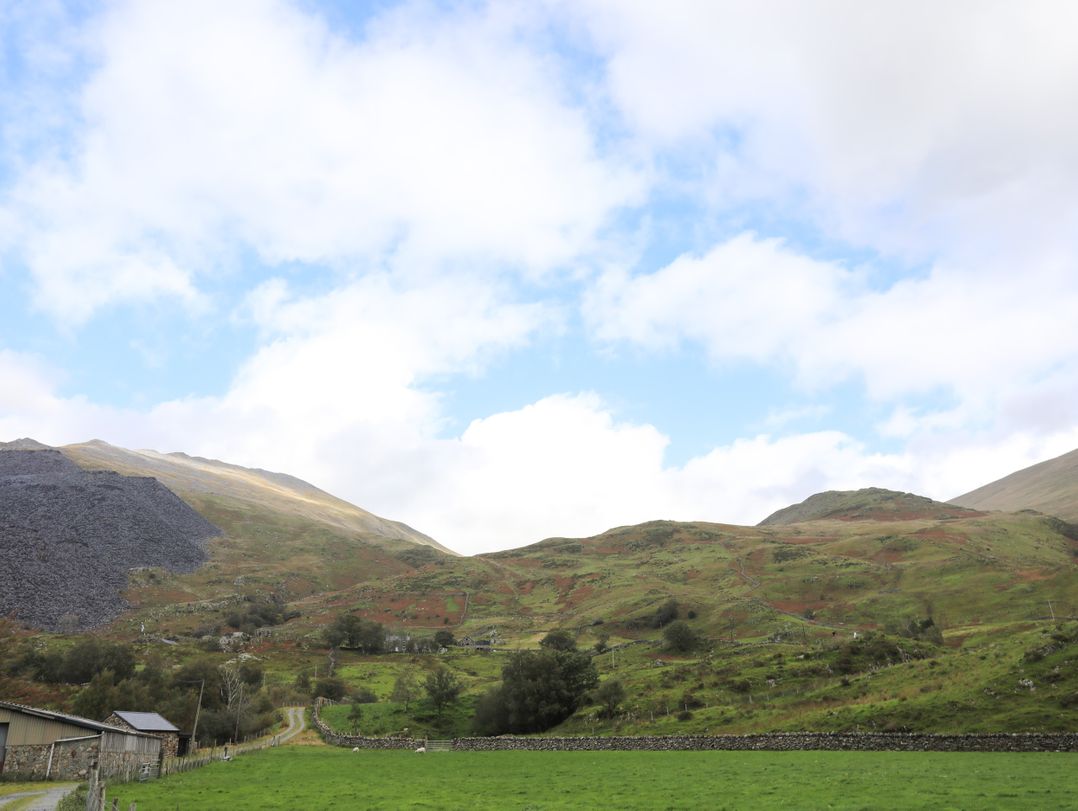 Llwyn Bedw