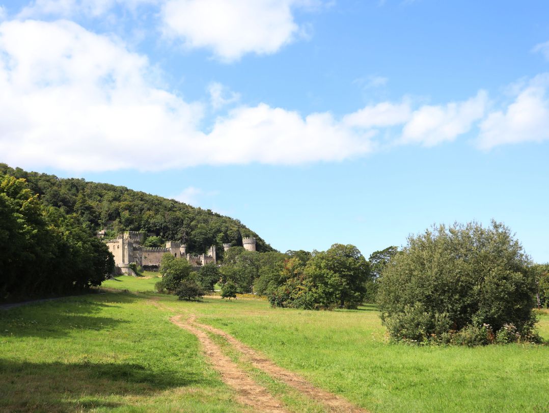 Castle Cove