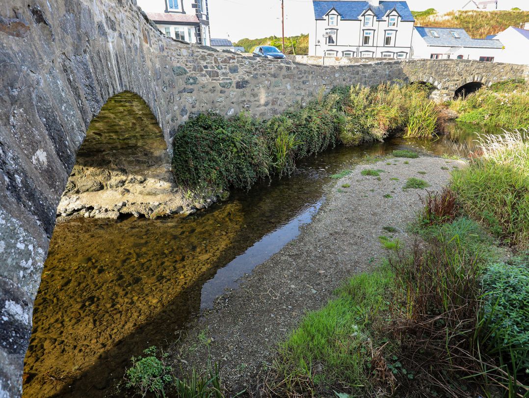 4 Bryn Llan