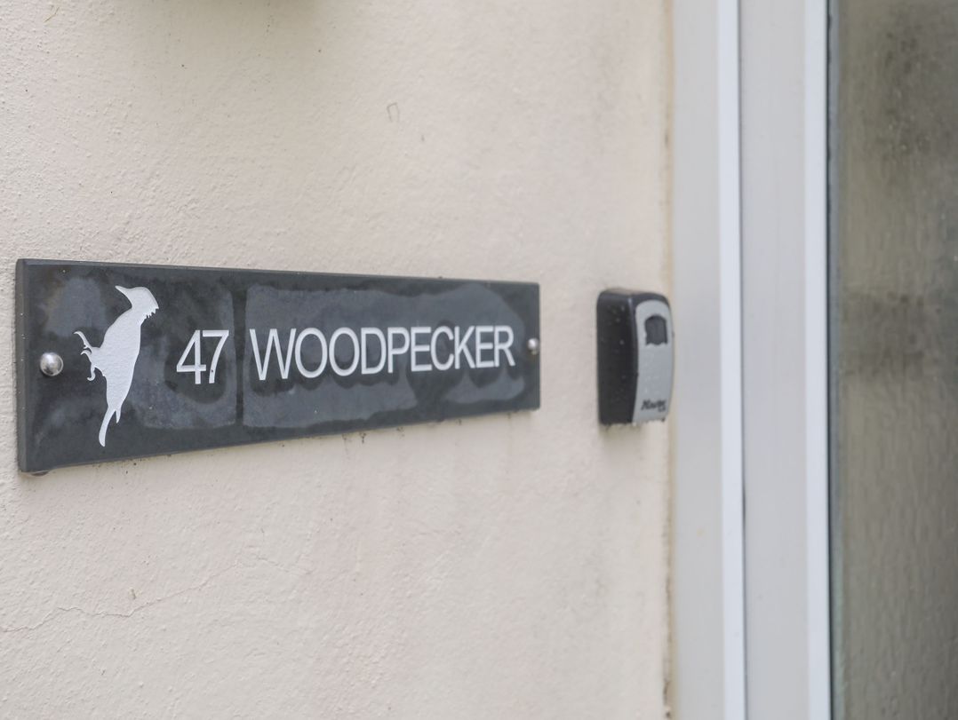 Woodpecker