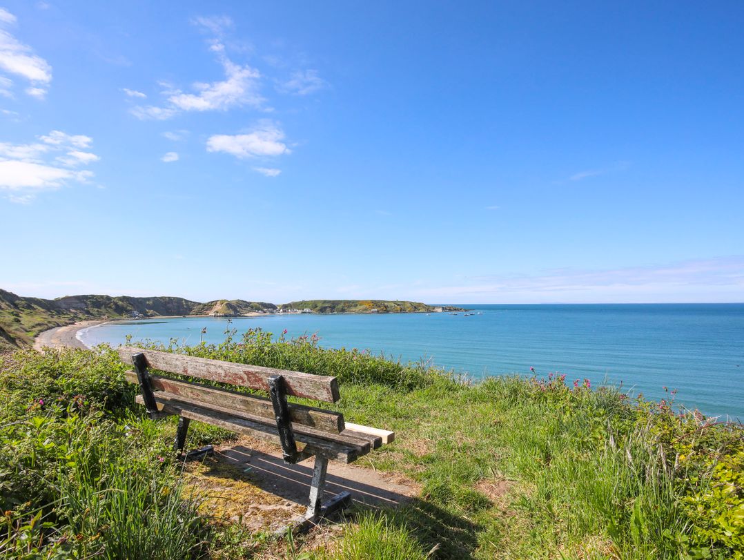 Gorynys