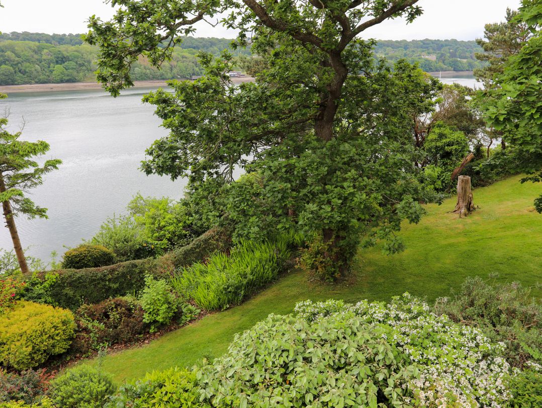 Ynys Castell