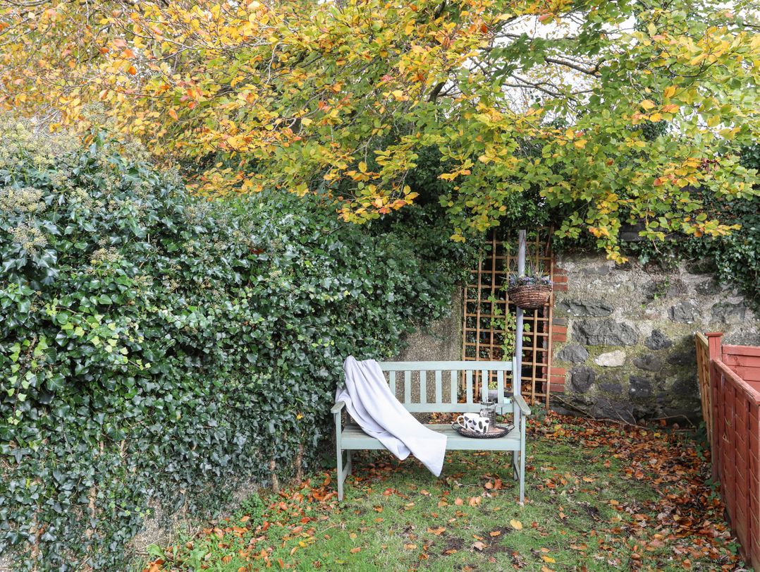 Ty Eiddew (Ivy House)
