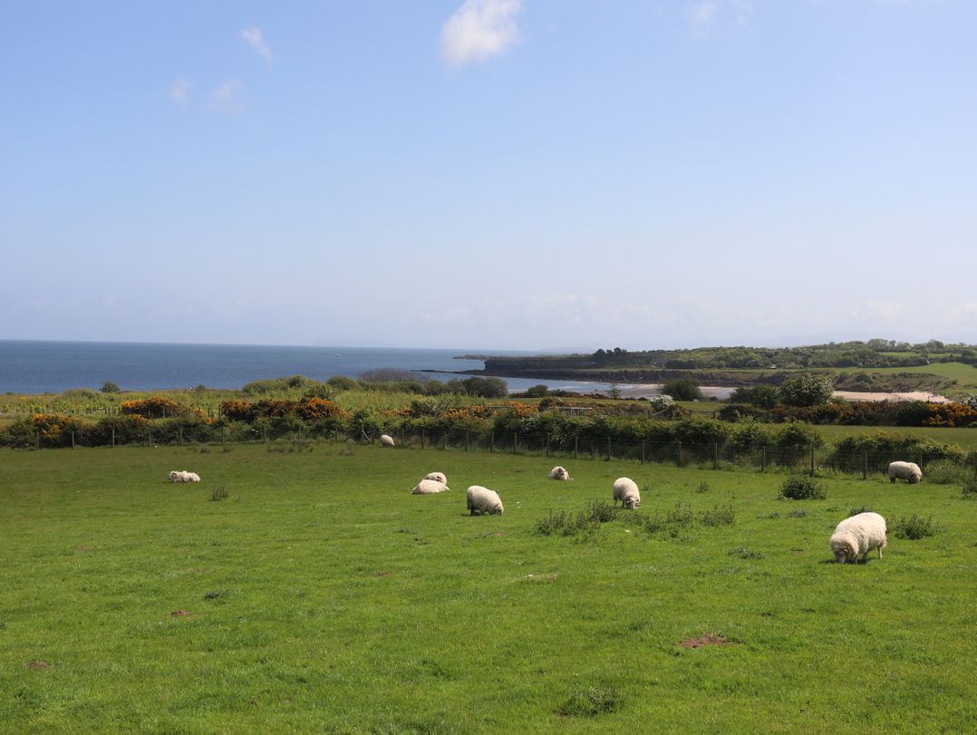 Traeth Ora