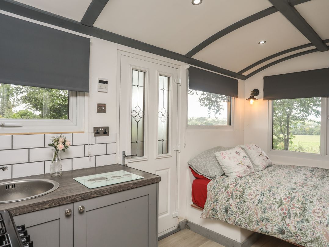 Frongoch Shepherd's Hut