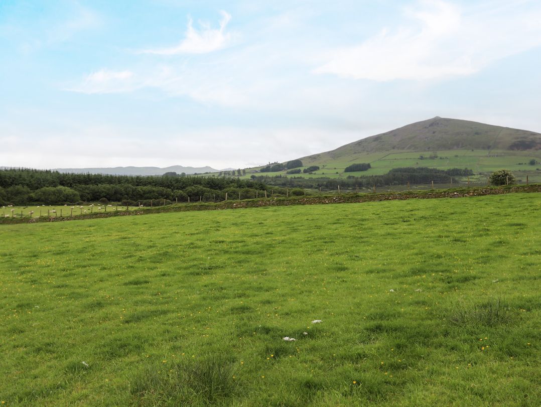 Ty Newydd