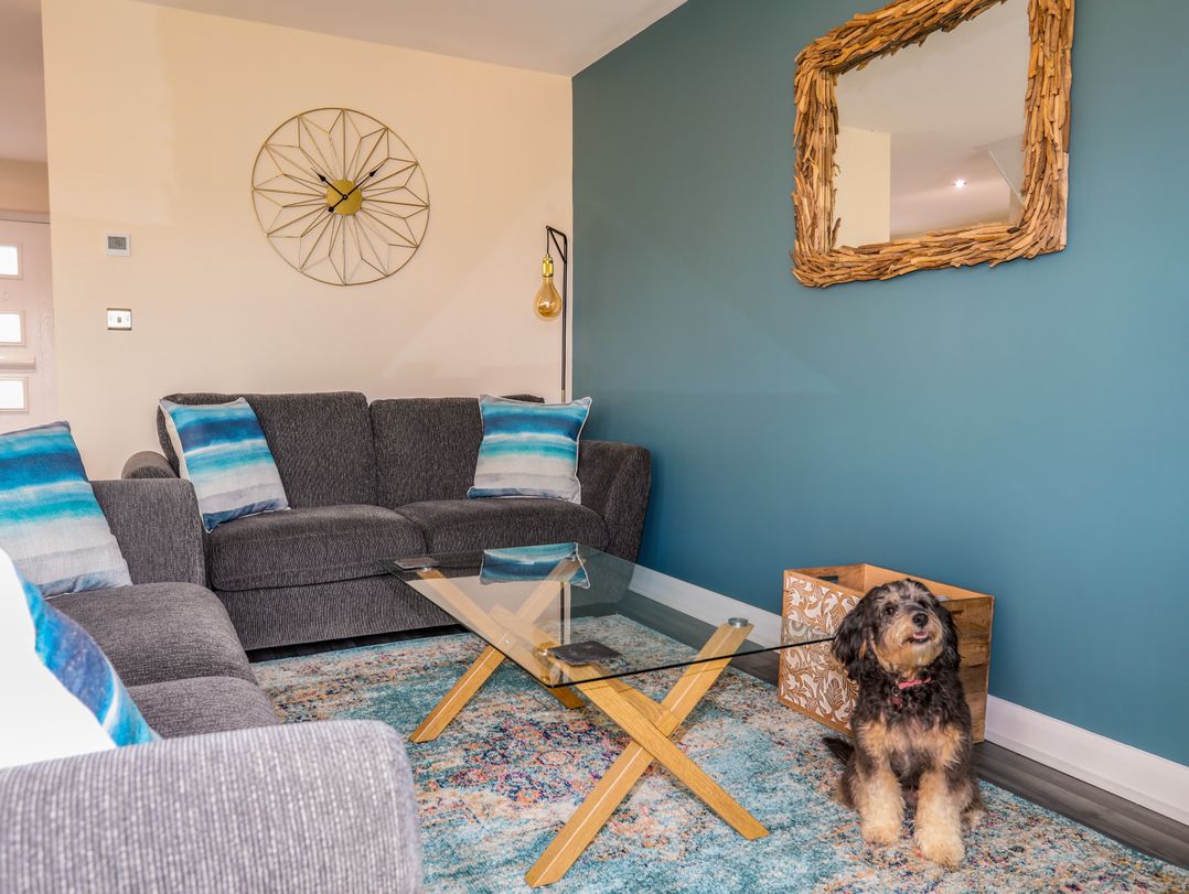 A living room with gray sofas blue and white cushions a glass coffee table and a dog sitting on a rug at 19 Parc Delfryn in Benllech