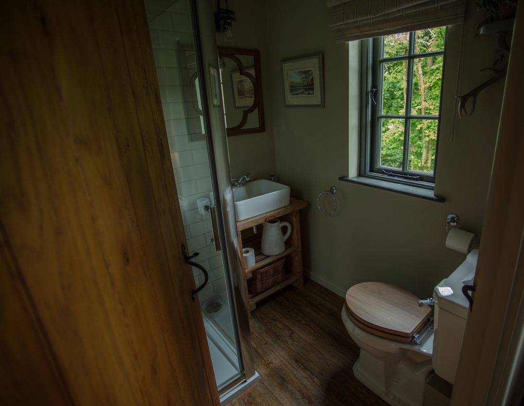 The Owl's Shack