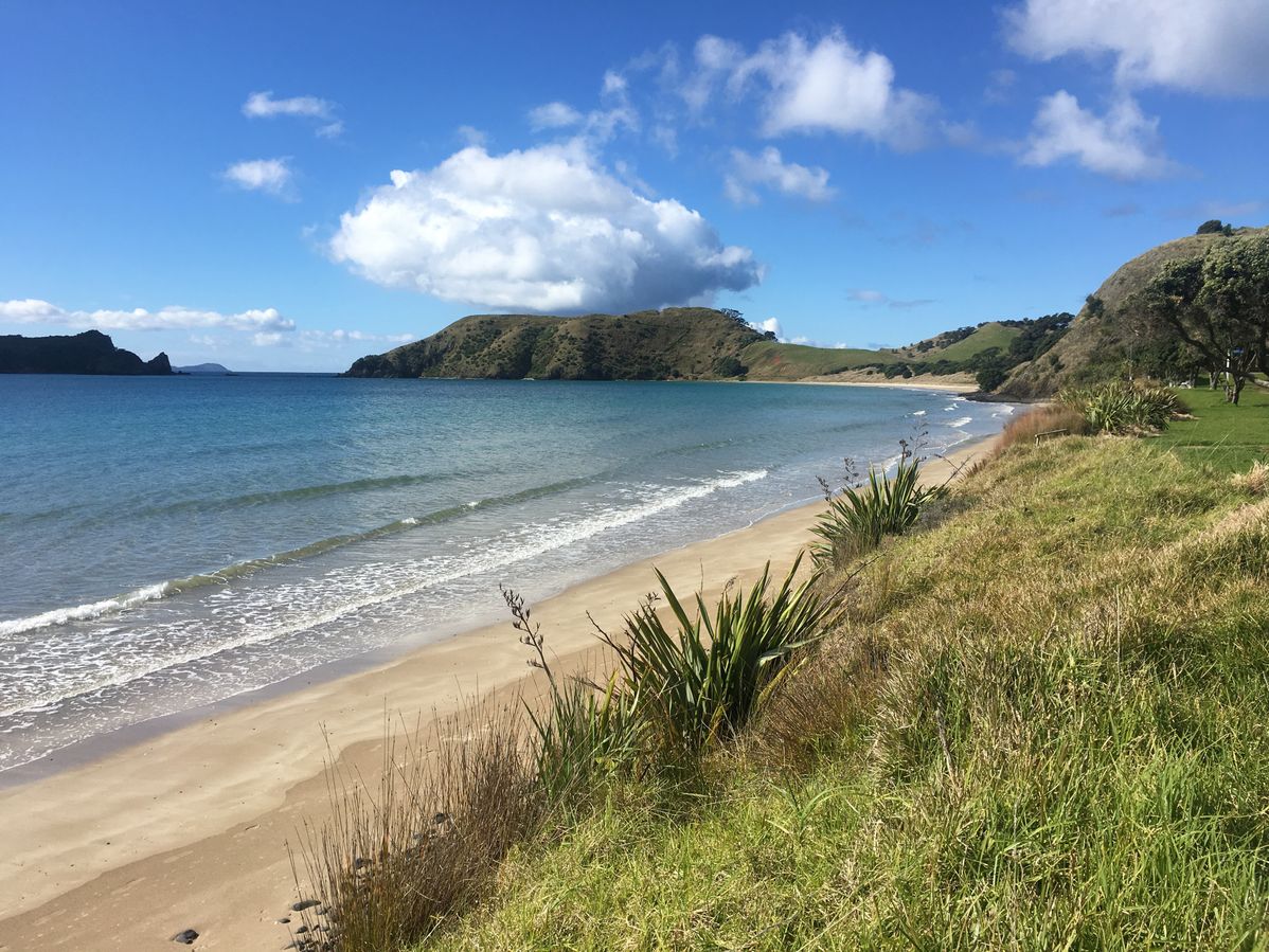 Beachfront Cottage Opito Bay Holiday Cottage Bachcare Nz