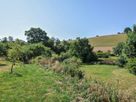 Little Coombe thumbnail photo 21