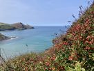 Treovis Farm thumbnail photo 40