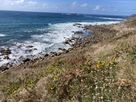 Treovis Farm thumbnail photo 42