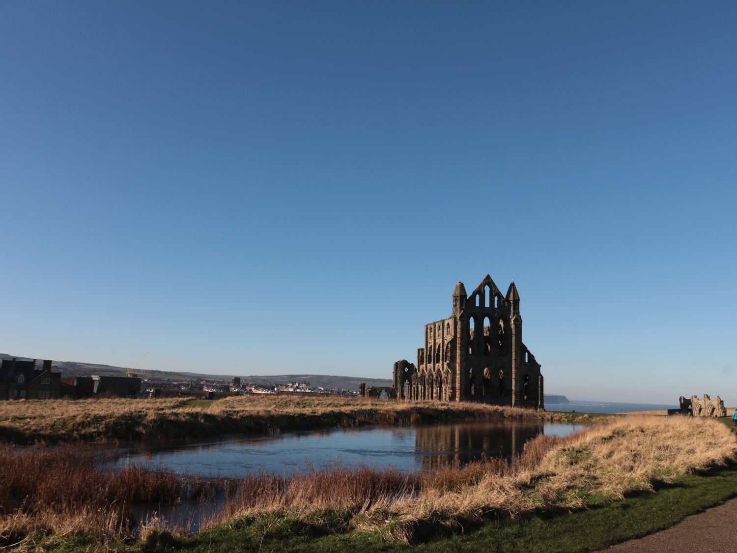 Fauna's Corner, Yorkshire