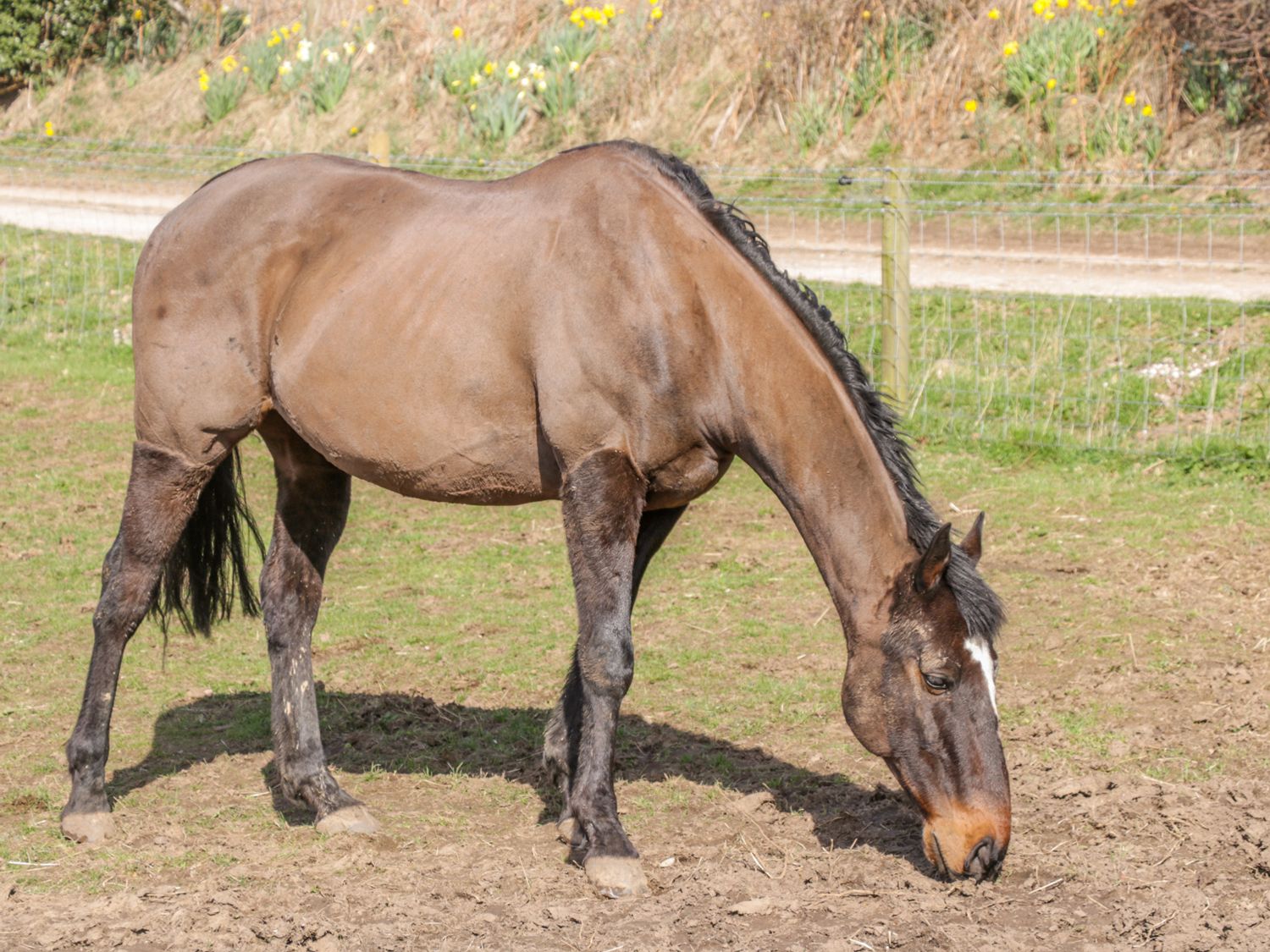 The Stables, Seamer, North Yorkshire