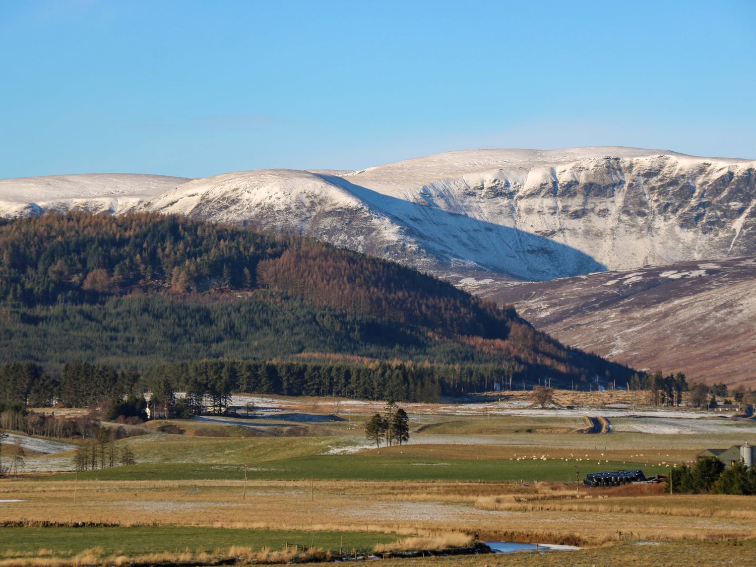 The Bothy, Angus