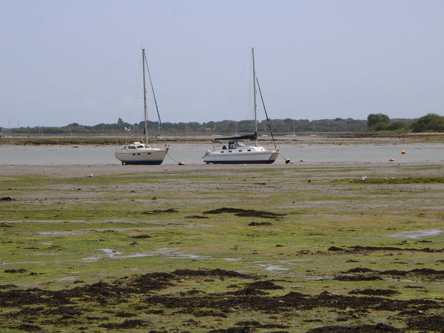 2A The Mews, Langstone