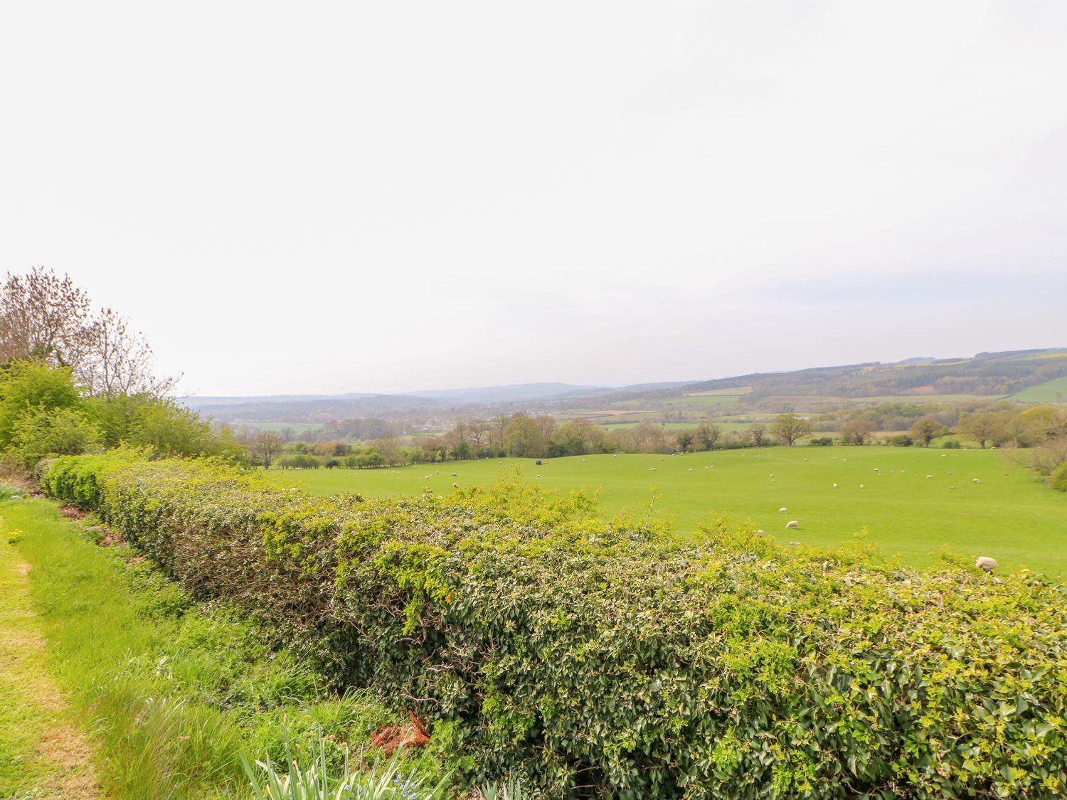 21 Bearl View, Northumberland
