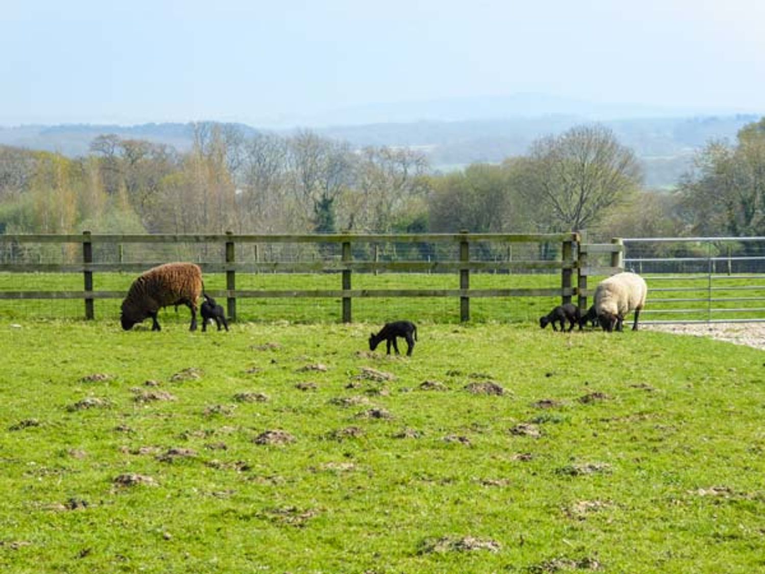 1 The Stables, Isle of Wight