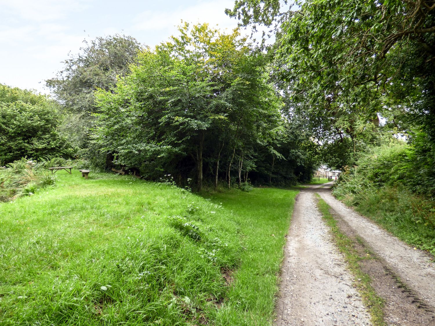 Honeysuckle, Cornwall