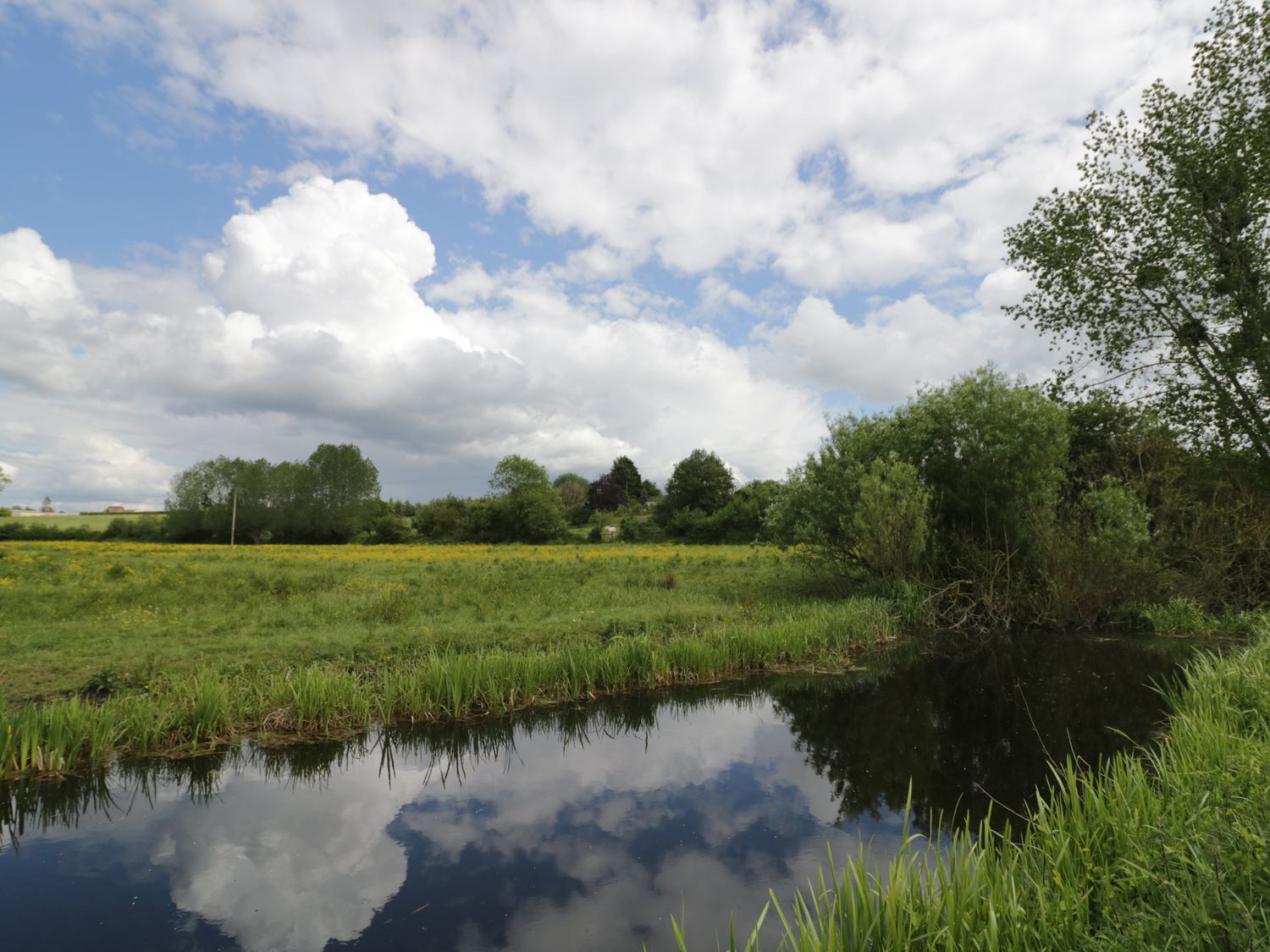 Cottage on the Common, near Cinderford