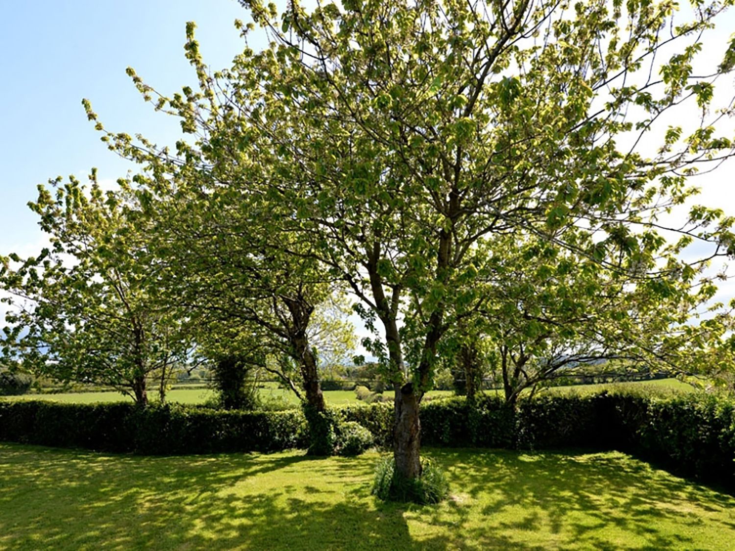 Cae Person, Llangoed