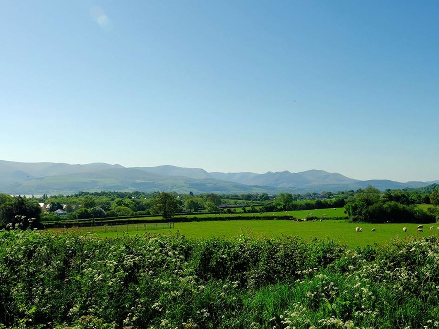 Cae Person, Llangoed