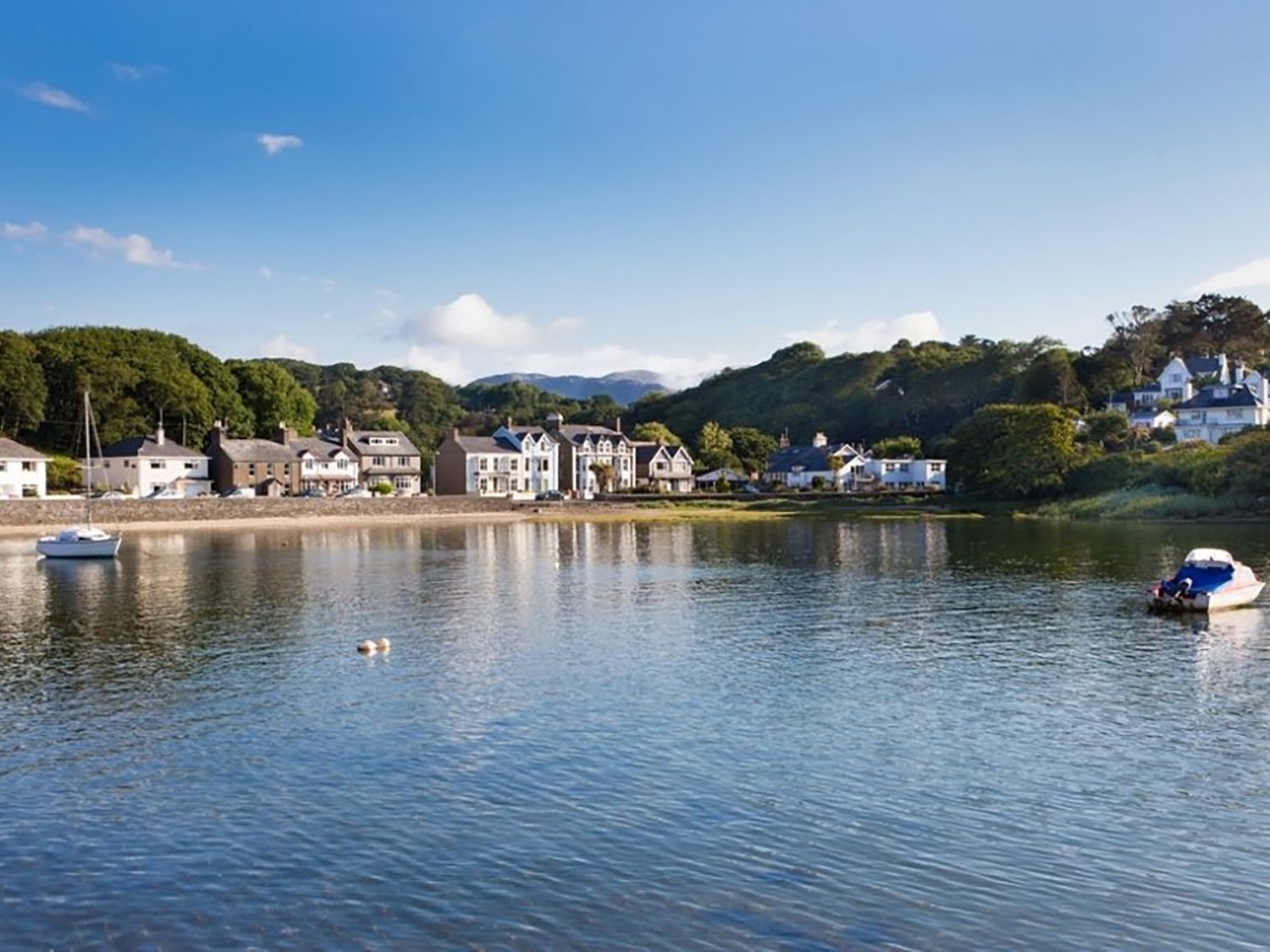 Cuckooland, Borth-Y-Gest