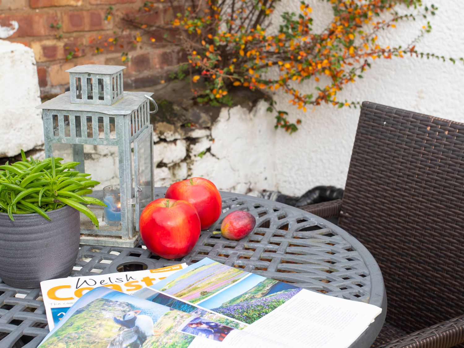Shamrock Cottage, Deganwy