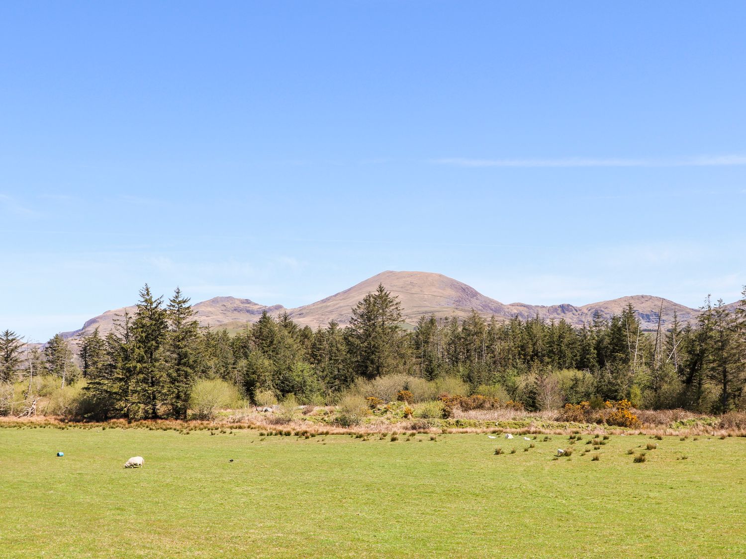 The Honey Pot, Garndolbenmaen