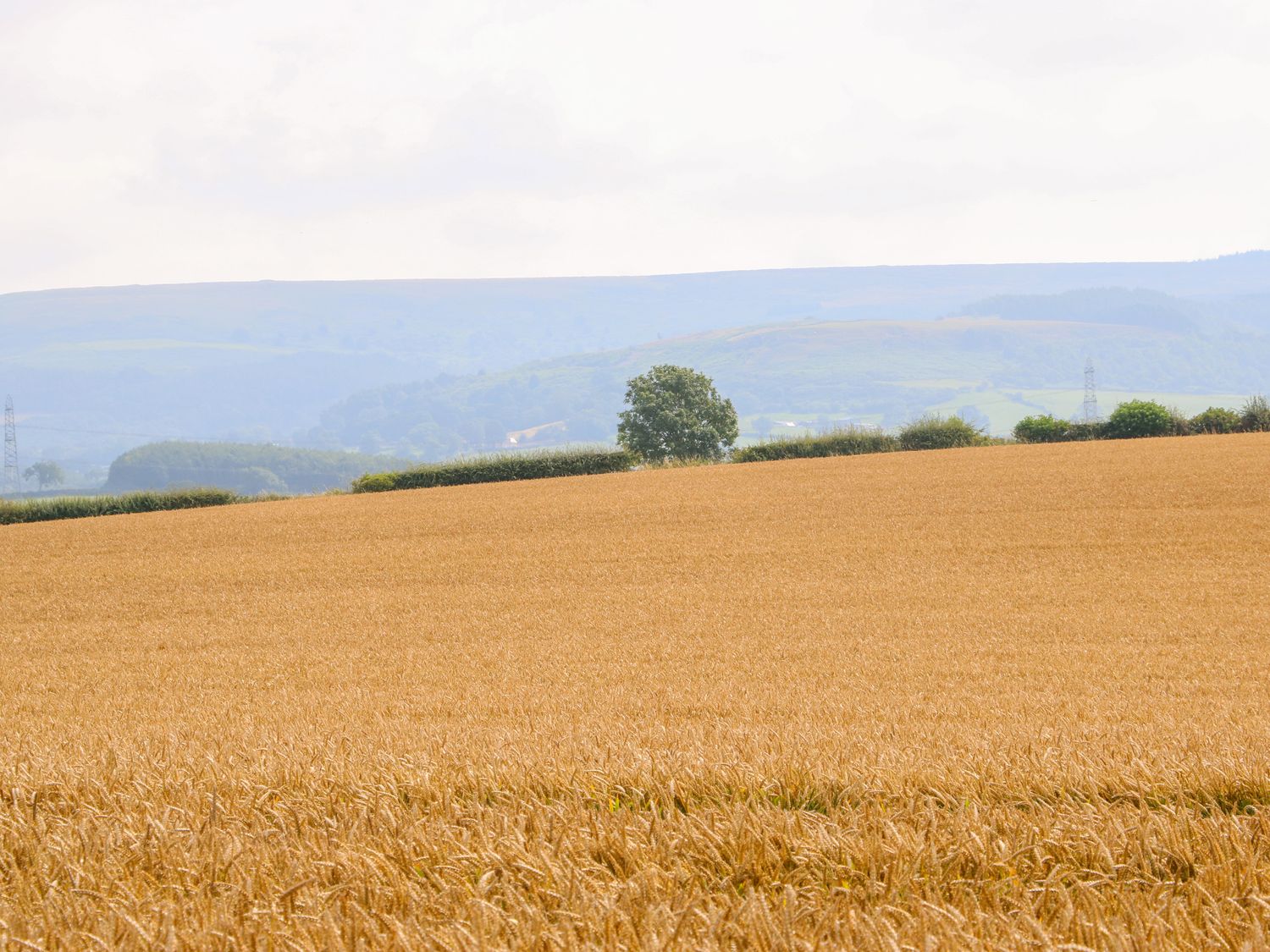 Apple Tree Cottage, Northallerton