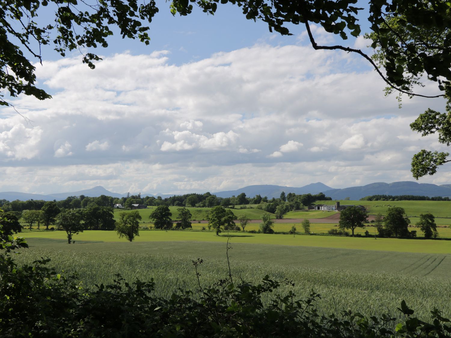 Property photo 13 of 14