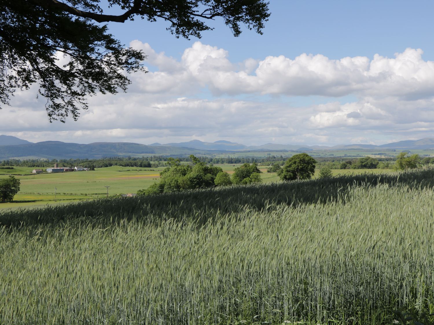 Property photo 14 of 14