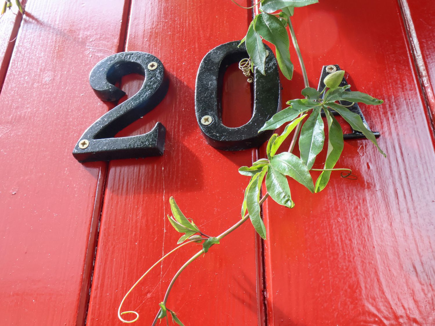 20A St Hilda's, Whitby