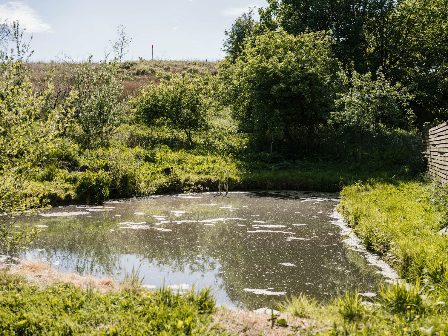 The Chard, Longtown