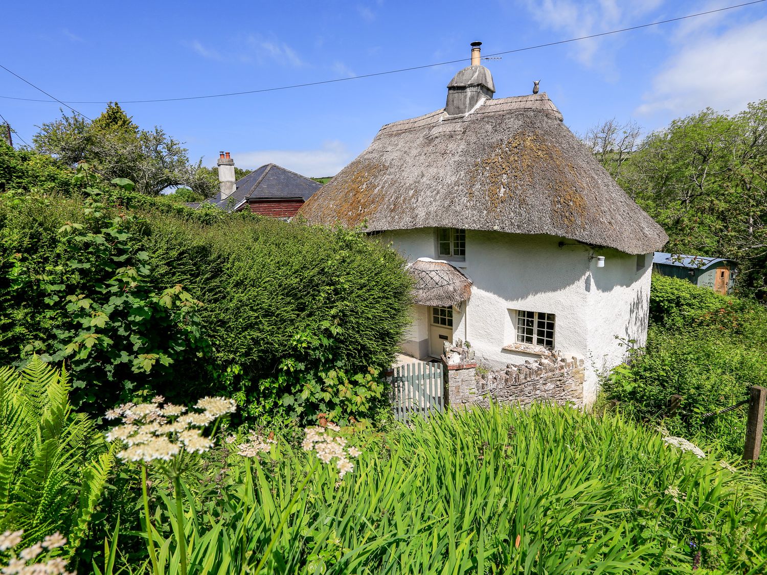 Elworthy Cottage - Devon - 1017060 - photo 1