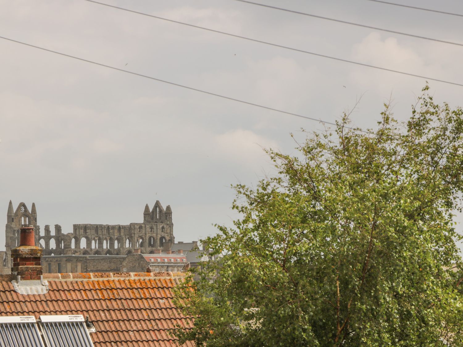 Abbey View, Whitby