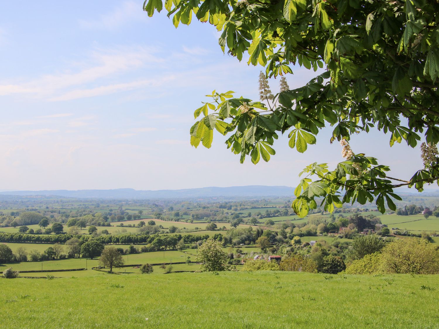 The Chestnuts, Tenbury Wells
