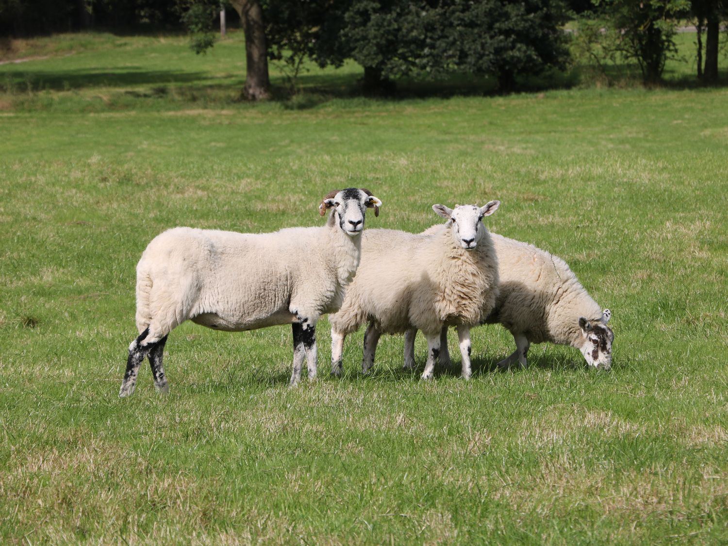 Stoney Cliffe Farm is near Leek, Derbyshire. Hot tub. Countryside views. Off-road parking. 3 bedroom