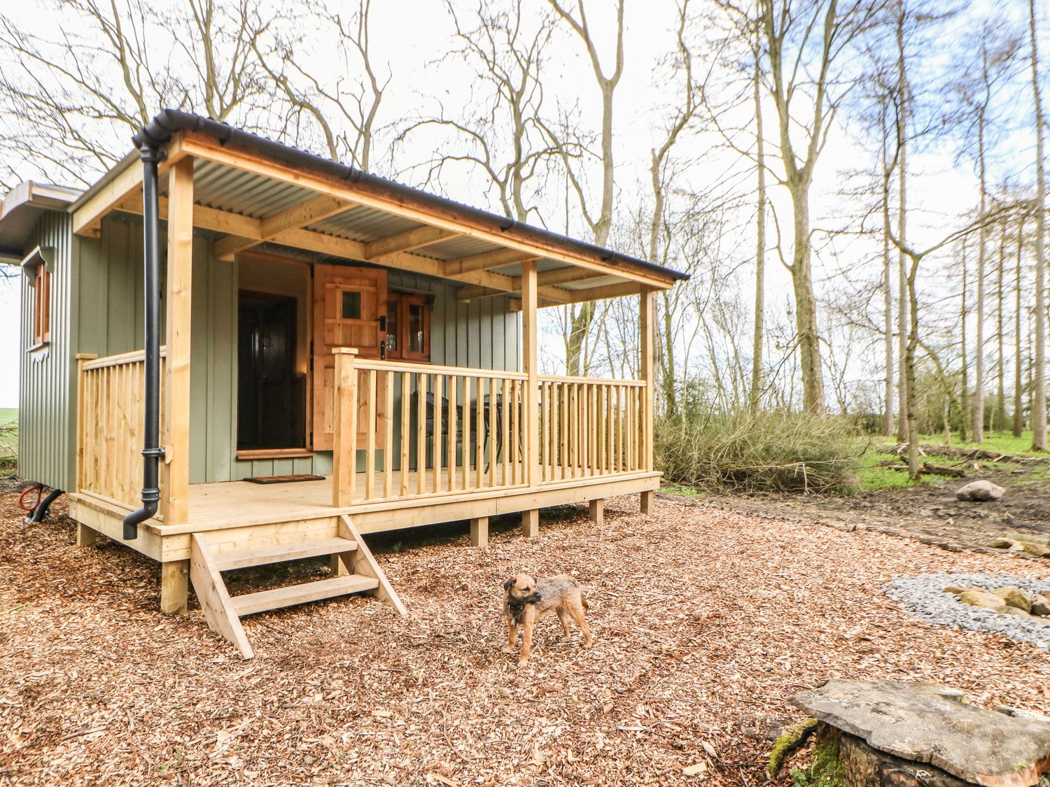 Bracken Fern - Aldbrough St John, North Yorkshire. Off-road parking. Private garden. On working farm