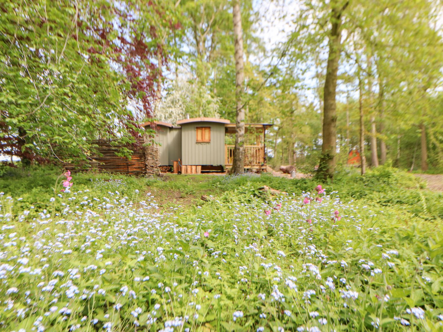 Bracken Fern - Aldbrough St John, North Yorkshire. Off-road parking. Private garden. On working farm