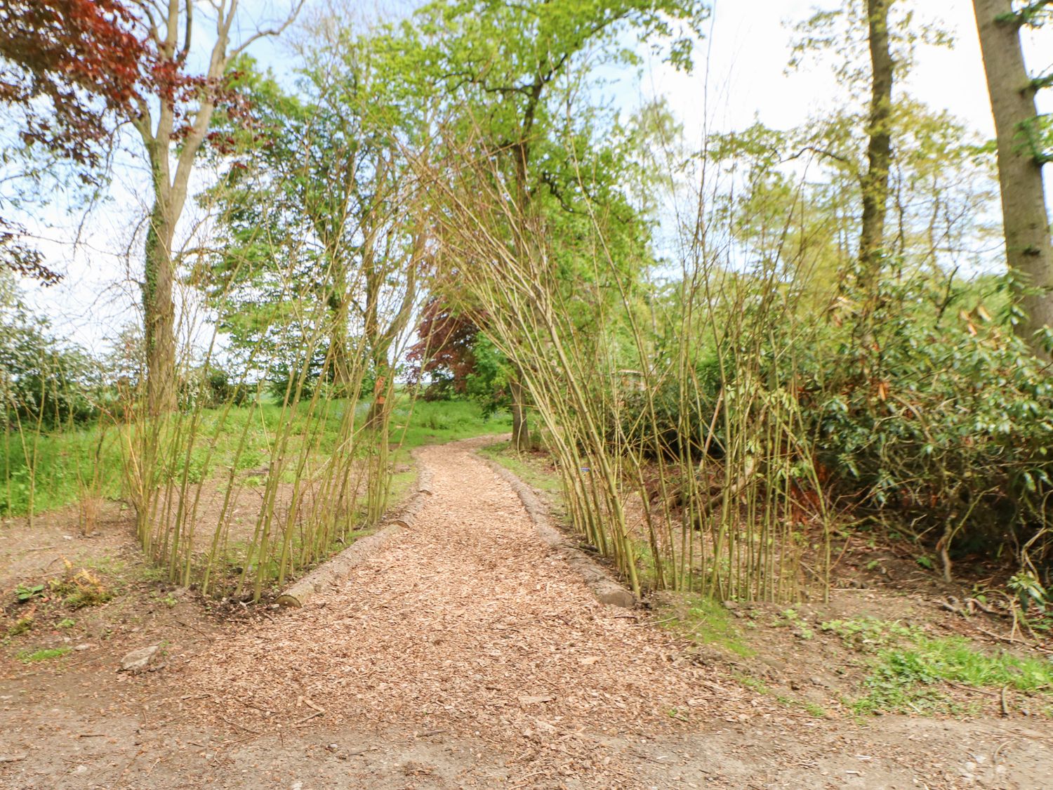 Bracken Fern - Aldbrough St John, North Yorkshire. Off-road parking. Private garden. On working farm